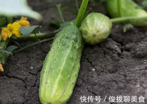 山楂|终于找到脂肪肝的“克星”, 每天吃一点, 消除脂肪, 远离肝硬化