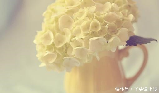  穿透|一段很现实的话，句句穿透人心！