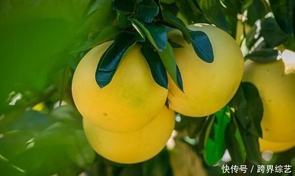 立春后，中年人不妨多吃三物，清肠排毒，改善便秘，提高免疫力