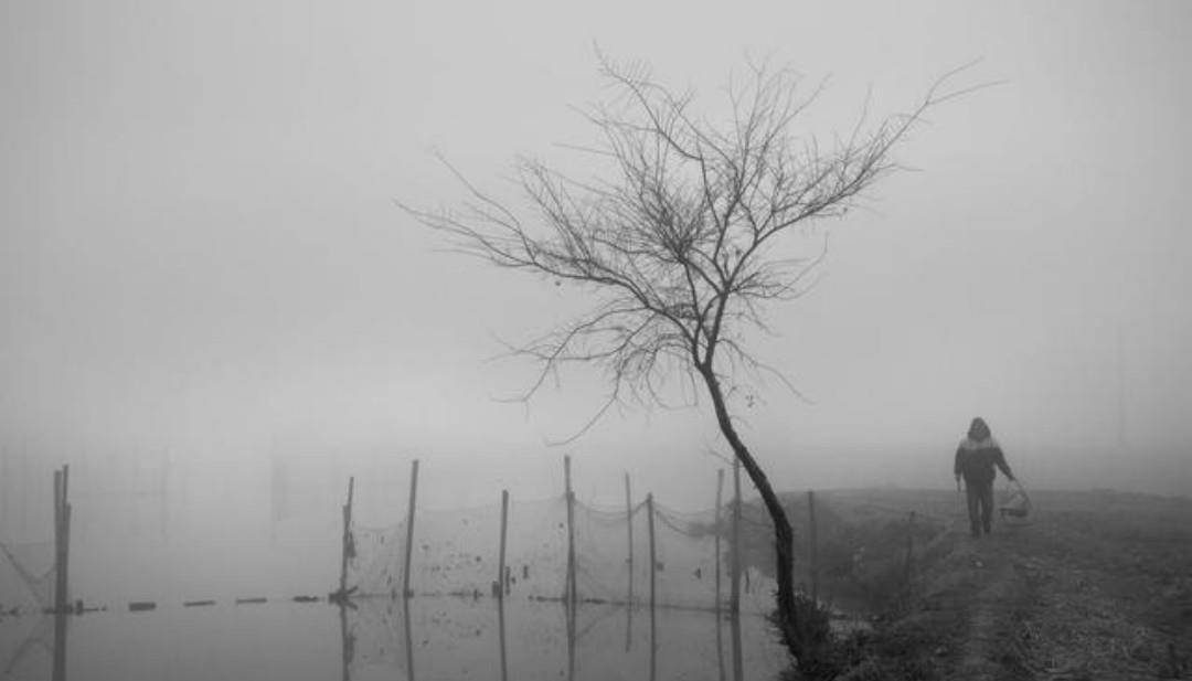 诗句|《全唐诗》里的网红诗句:我有一瓢酒,可以慰风尘,写得很是伤感