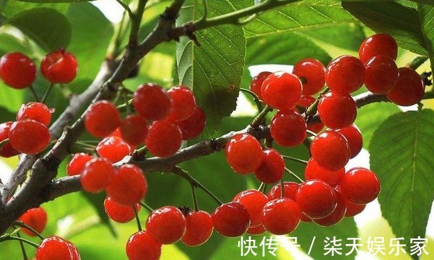 肾上腺素|心脏不好,多吃三红,少做三事,勤动三处,具体指什么