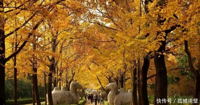 为官|朱元璋在农舍避雨,农民说出姓名后,朱元璋立刻封他世代为官!