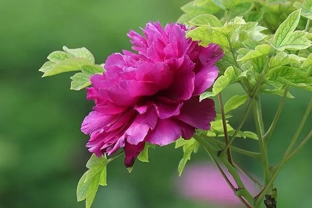 品德|好的人生,是从养成这三个好习惯开始