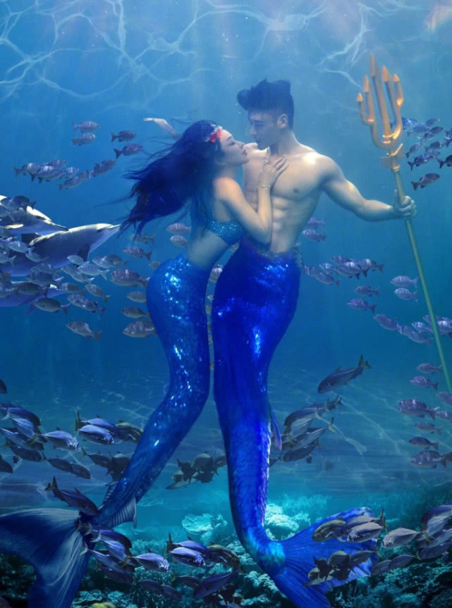 潜入|钟丽缇夫妇潜入海底拍人鱼大片,老公因一物,惨遭网友吐槽海王