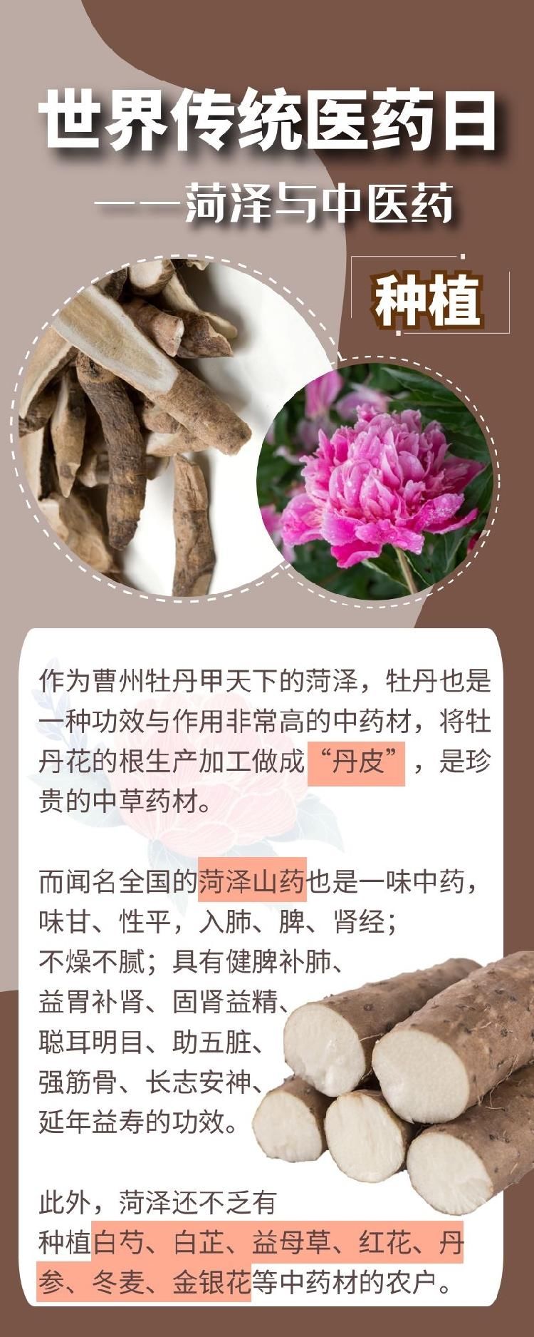 细数菏泽与中医药的缘分|世界传统医药日 | 传统医药日