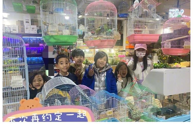 旧爱重温，《爸爸去哪儿》三家庭再聚首，网友：孩子们都长大啦！