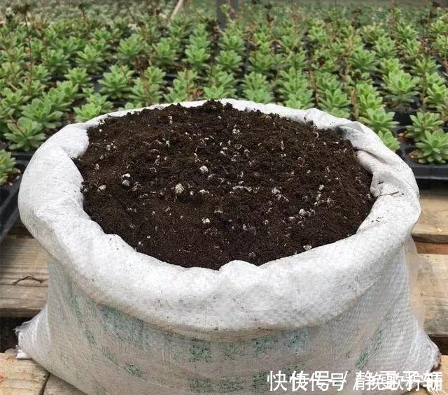 香蕉皮|养花旧土不要扔,掺上“三废料”,肥力“赛过”营养土!