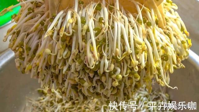 卫生|家庭自制绿豆芽，教你5个小秘诀，豆芽4天就能吃，安全卫生又营养