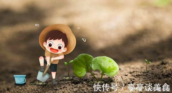 腐植酸|养花换下的土壤这样操作，就能无限循环