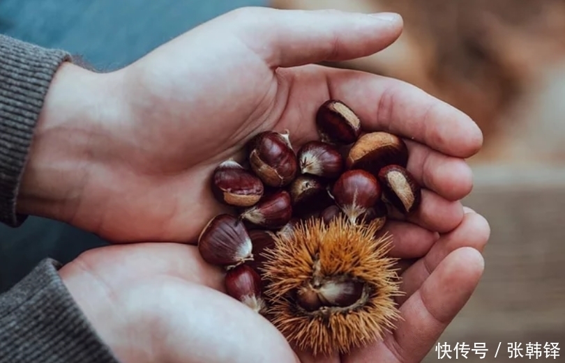 板栗|栗子富含哪些营养?除了糖炒栗子,给大家推荐一个好吃的做法