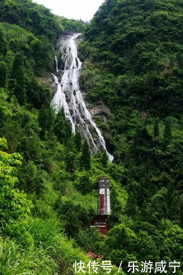 湿地|“夏”一站，咸宁请你来“吸氧”！