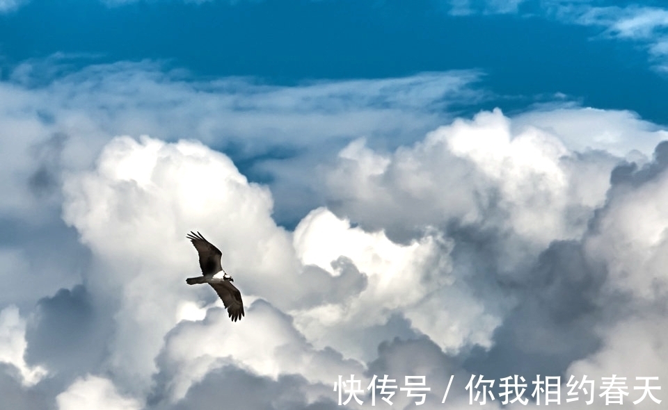 境界|庄子:“得道之人”的惊人境界