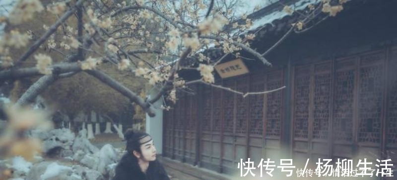 惠州一绝|苏轼很经典的一首诗,尤其是开篇的两组叠字句,读来令人拍案叫绝