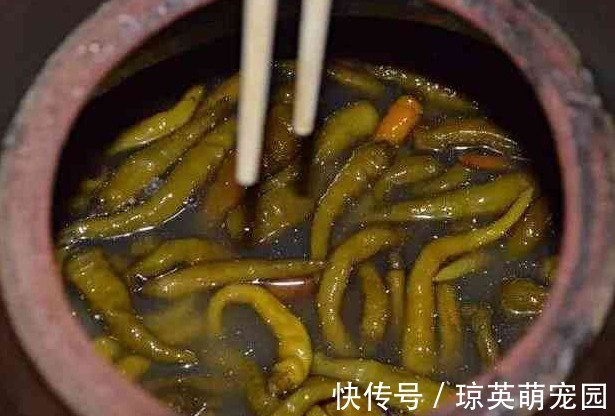 蒲公英|胃癌多是自己“养”起来的,专家忠言:5种食物,还是少碰为好