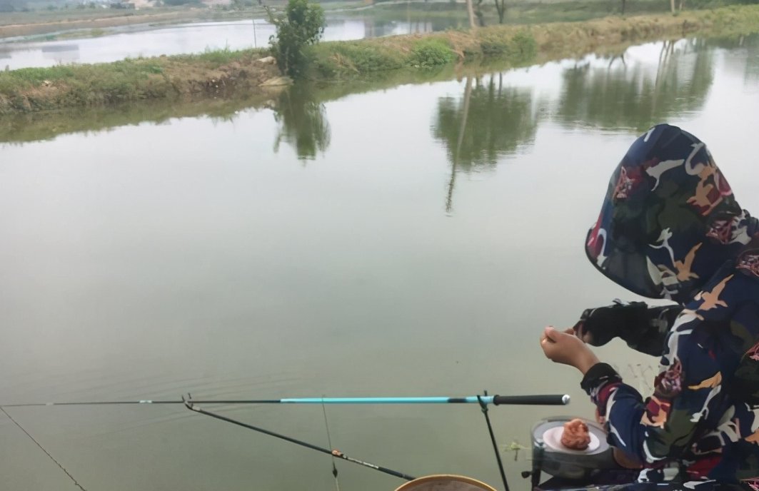 野钓不知道怎么合理搭配饵料，新手钓友进阶推荐，快来看看