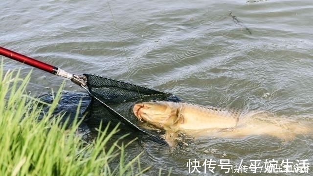 钓鱼可能从来没有想过认真分析这两点，这才是夏季获鱼的要点所在