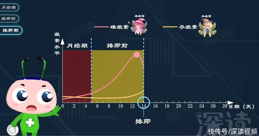 卵巢|长效避孕药吃一片管一个月？贸然停药易致大出血？如何正确服用？