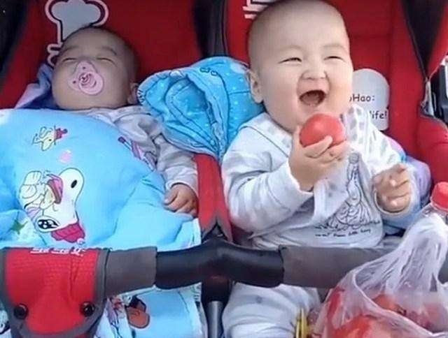 双胞胎|双胞胎哥哥趁弟弟睡着偷吃西红柿, 哥哥得意的表情笑喷妈妈
