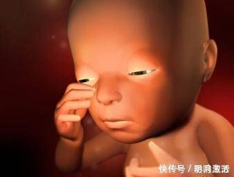 眼睛|这些东西在怀孕期间经常吃,这会使胎儿的眼睛变漂亮孕妇可以试试