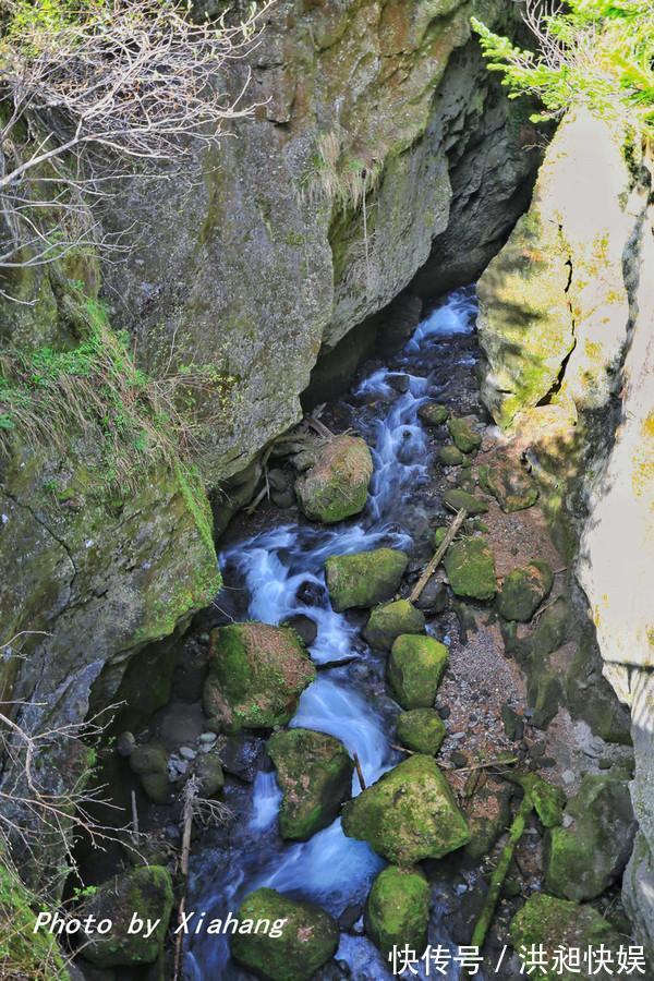 长白山|长白山西坡大峡谷，被誉为火山天然熔岩盆景园，你来过吗