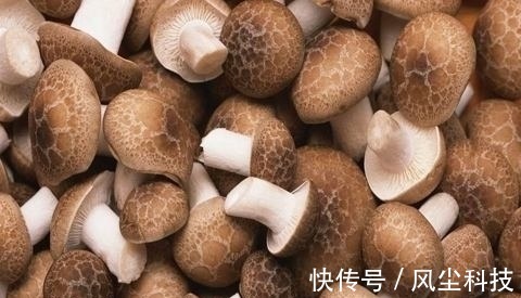 医生|香菇好吃营养，但医生提醒，这五种人一口都不能吃，有的赶紧改掉