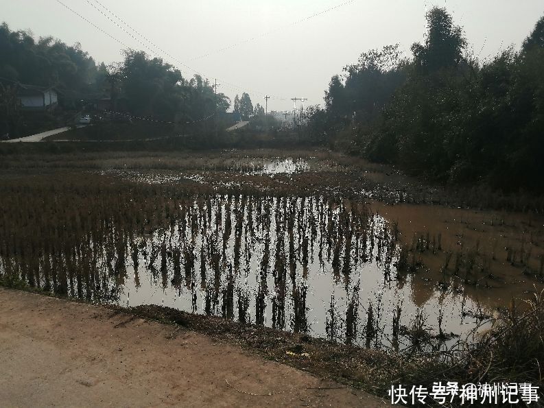 乡村冬闲田，一道靓丽的风景！