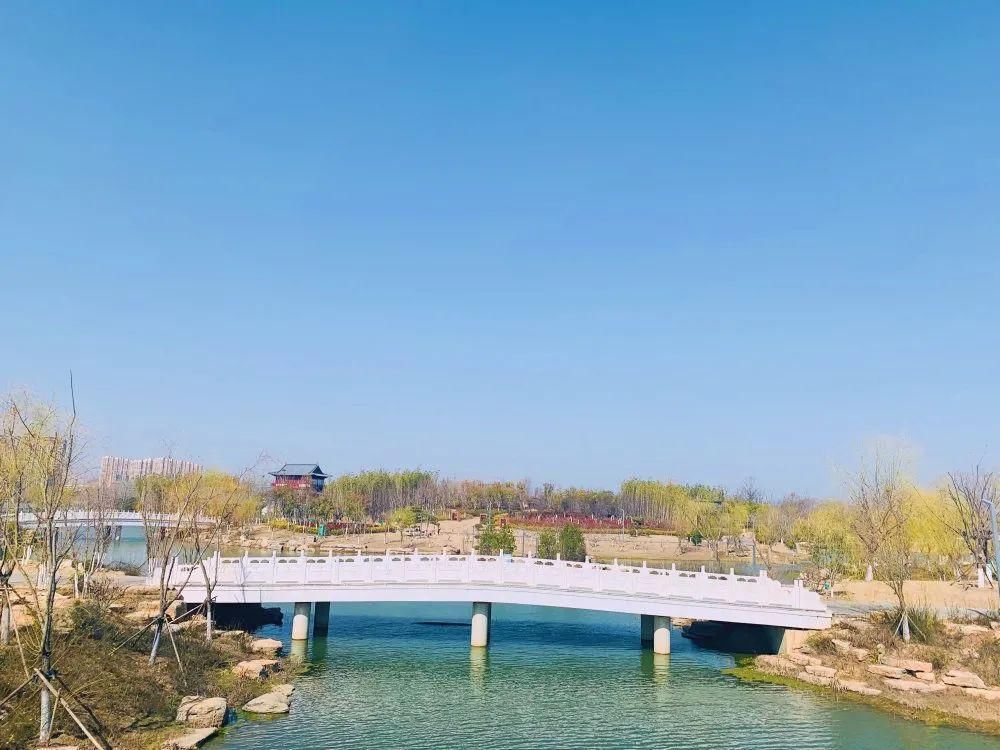 老年|春暖花开!阜城第一波春色来啦~