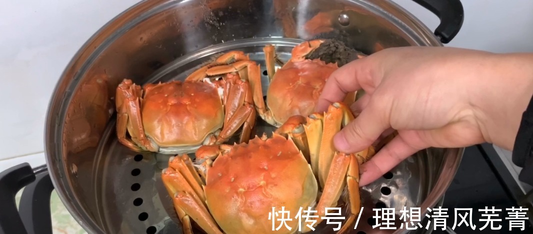 梭子蟹|蒸大闸蟹时，用冷水还是热水多数人做错，难怪螃蟹流黄腥味重！