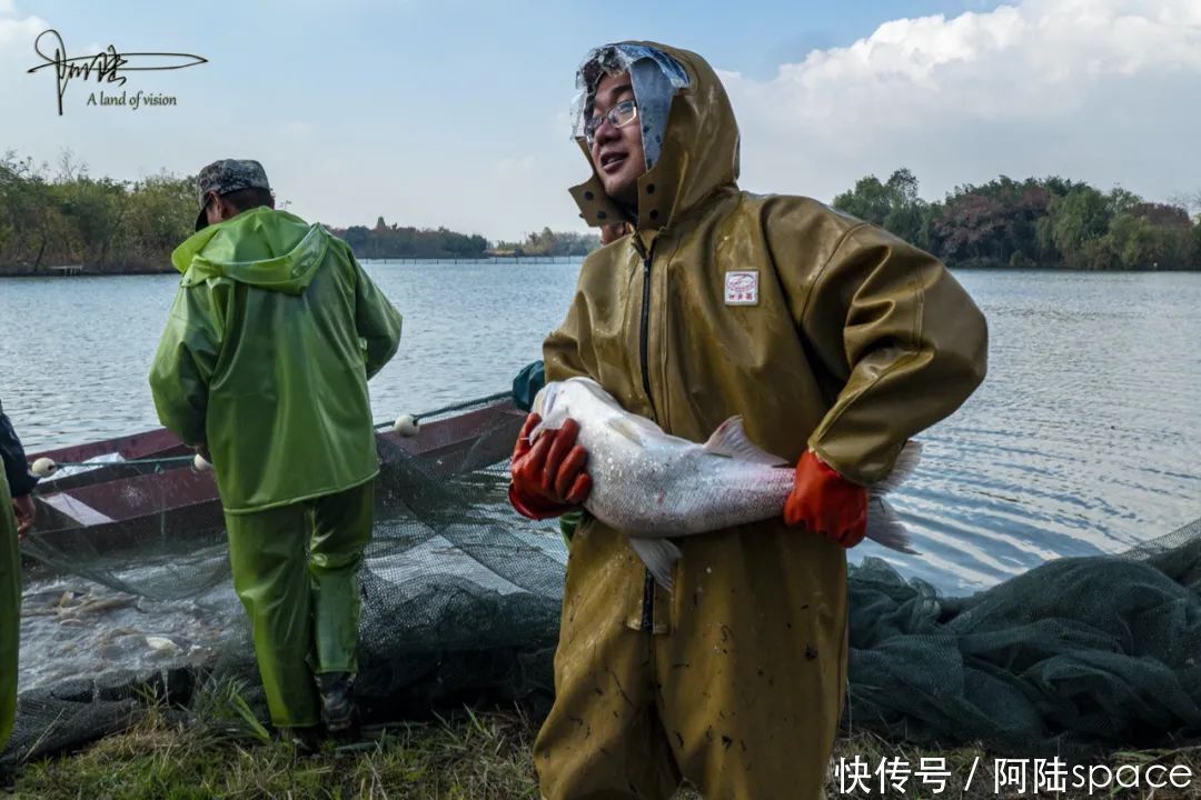 白塔|白塔湖里有个桃花岛，可以现场观看当地村民捕鱼，场面极为壮观