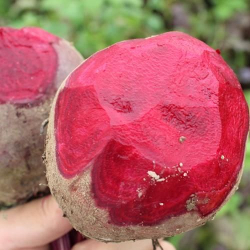 皱纹|补血别吃红枣了,多吃这菜,称为“补血库”,皱纹消失了,润肤又淡斑