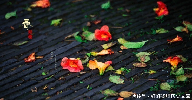 超然台$苏轼很“有用”的一首词，你可以不会背，但至少要读一次！