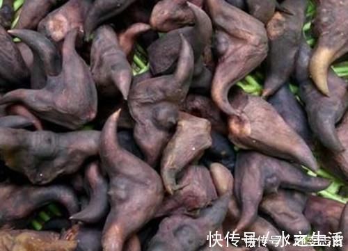 荠菜|寄生虫成堆的4种蔬菜,吃一口等于吃几千条虫,沸水都杀不死