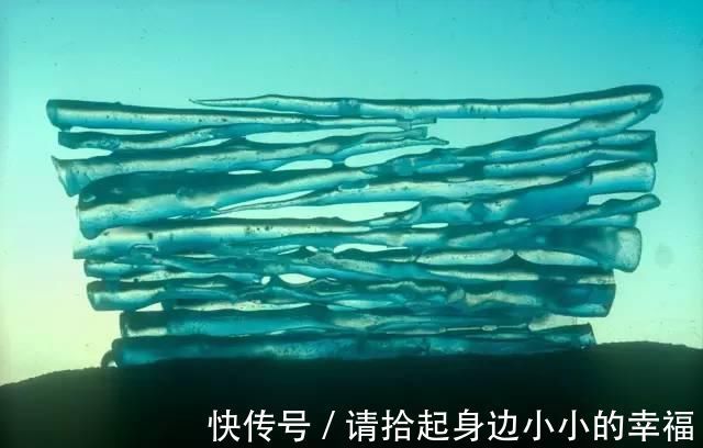 艺术家|他用最简单的树叶、石头、羽毛，建了一座美到极致的自然美术馆