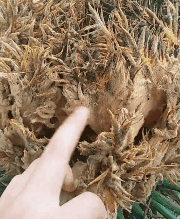 期望|搞笑GIF:10.丈母娘期望女婿的年薪500万左右吧