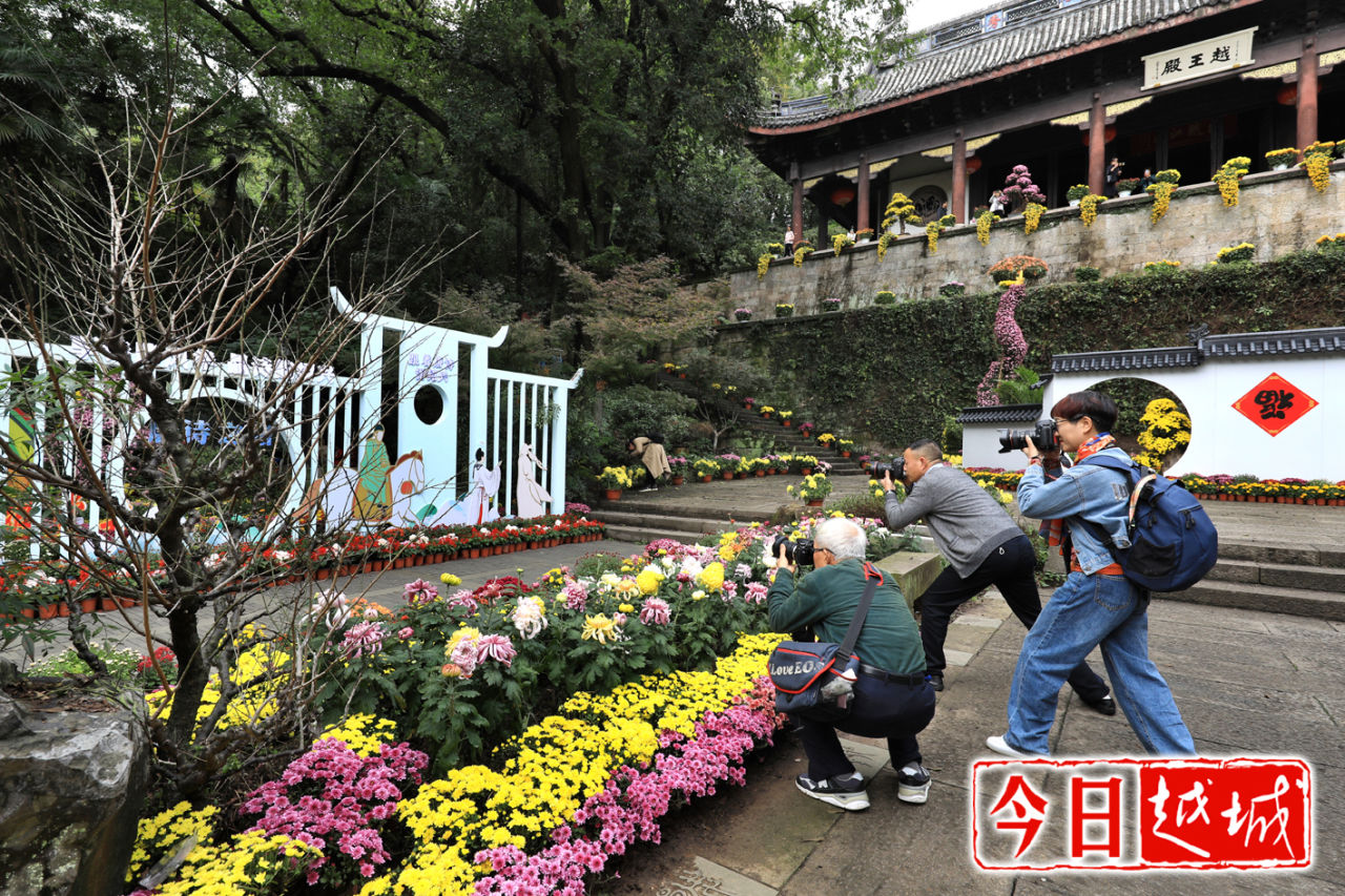 绍兴|古城绍兴：府山赏菊正当时