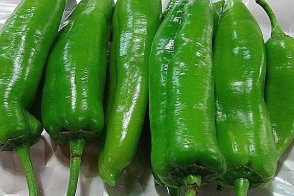 禁忌|青椒虽好吃又下饭,但要知青椒的4个禁忌,不然就是''没病找病''