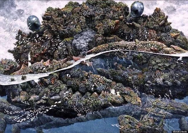 东京艺术大学$一幅画画了3年,细到要用放大镜,他把钢笔画玩到了极致