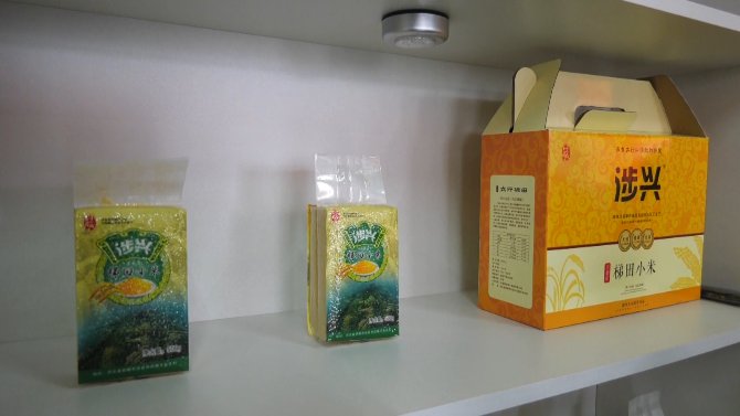 职教|“直播带货”走进涉县职业教育新课堂