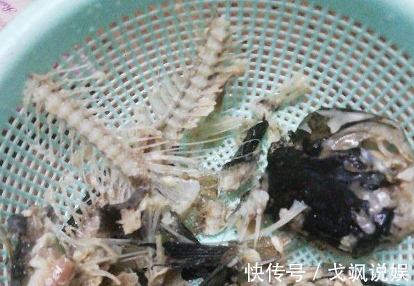 黄豆|用啥水浇花长得快、开花多、虫害少3个妙招,省时省钱又省力