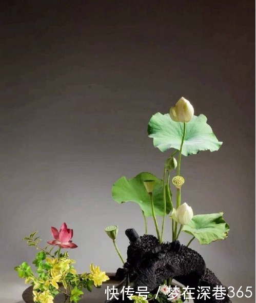 通透|佛教真理经典句子,睿智通透,顿悟人生!