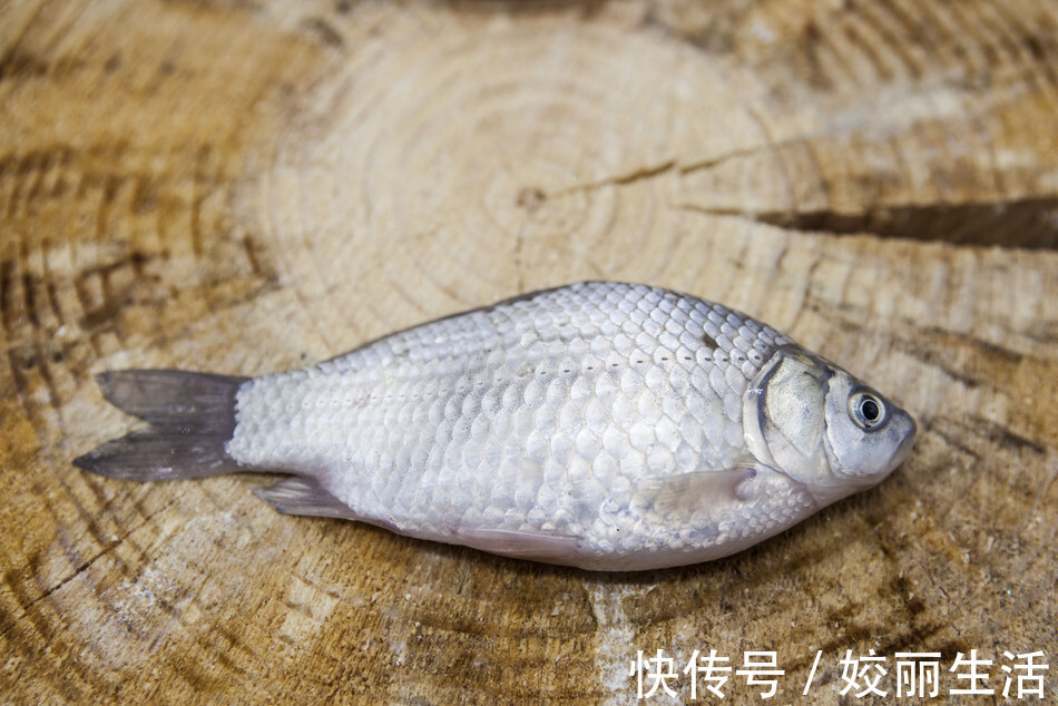 要点|怎样才能炖出好喝的鱼汤牢记3个要点，鱼汤鲜美奶白还不腥