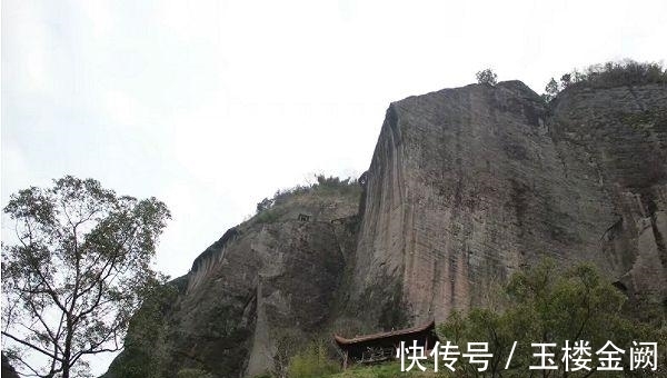 生肖猪|深藏不露，城府颇深的3大生肖，11月6号起，财运爆发，大财不断，走向富贵