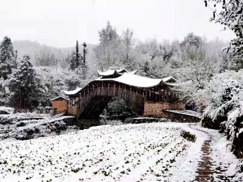 文重桥|泰顺一场春雪，凝固了绝美的“廊桥遗梦”
