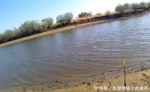 钓鱼|鱼多就是任性,扔下鱼饵就有鱼吃,上来就放岸边,也不怕它们逃跑