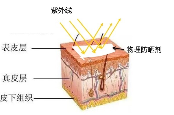 防晒剂 抹了防晒霜还是晒黑了？可能是你的防晒霜没抹对