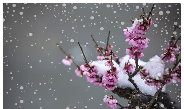 接纳!《论语》:改变命运,从学会接纳开始