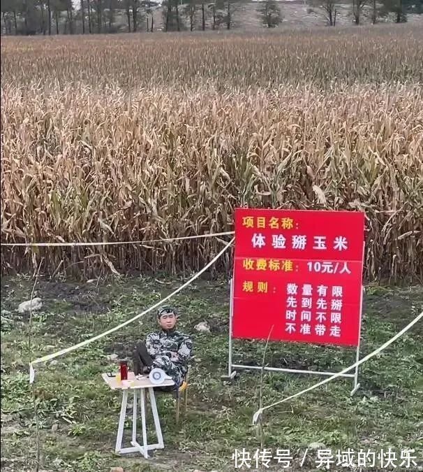 |搞笑趣图:姑娘,你这射箭姿势看着不太标准啊