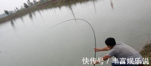 钓鱼|夏季大鱼出没的4个位置，找好钓位，钓大物更简单