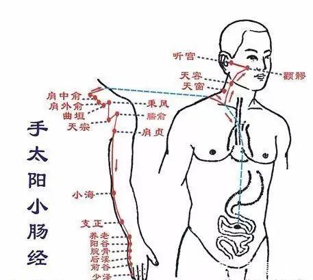 功能失调|肥胖是你这里不通，瘦大腿，瘦肚子，瘦背其实并不难！