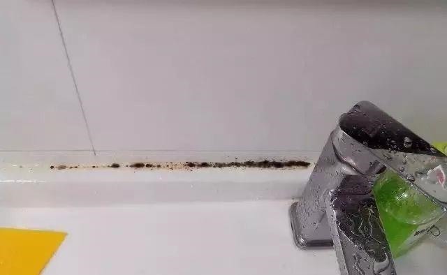 卫生间老有一股臭味，直接用老师傅的办法还挺实用，臭味去无踪